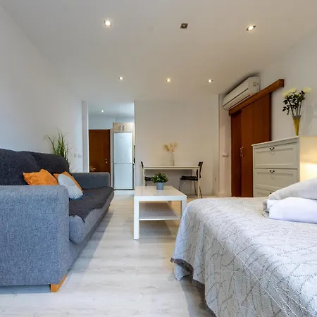Apartment Acogedor Estudio En *